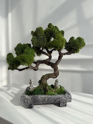 аквариум с крышкой: Миниатюрная Интерьерная Композиция Декор для дома и офиса «Бонсай» из — 1