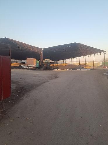 чон ат: 23сом с погрузкой ЗВОНИТЕ СРАЗУ Кукуруза Жугору Мака ОПТОМ РОЗНИЦА — 2