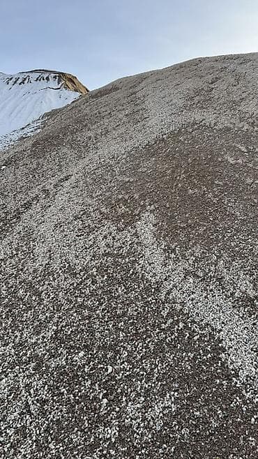 Лакокрасочные материалы: Отсев, Для стяжки, Оптом, В розницу, Портер — 3