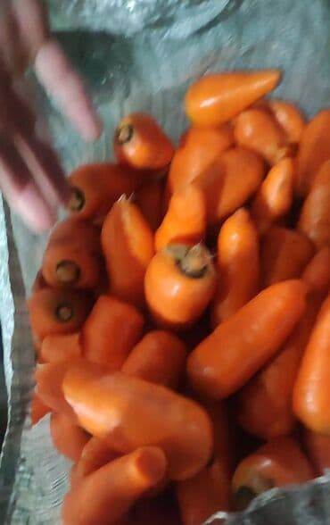 кухонная мебель бишкек цены: Морковь — 1