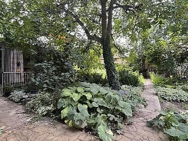 Дома: Просторный загородный дом с современной кухней, 2 спальни, мансарда — 8