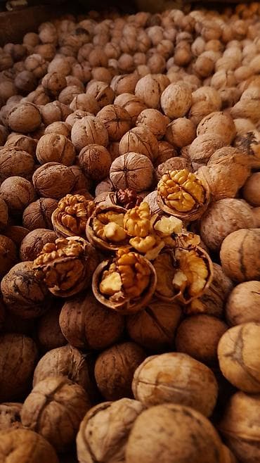 шкафтар ош: Продаю грецкие орехи. Размер орехов средний . После сортировки вышло — 3