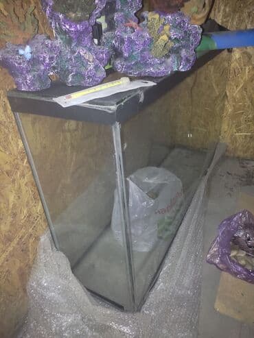 акустические системы atrix колонка в виде собак: Продаю аквариум длина1,40 см ширина 40 см высота 80 см толшина стекла — 2