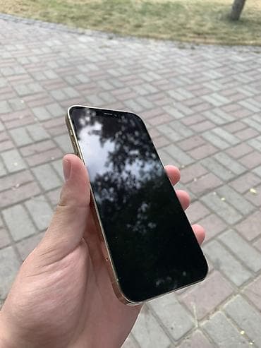 IPhone 12 Pro, 128 ГБ, Алтын, Кабель, Куту, 75 % — 2