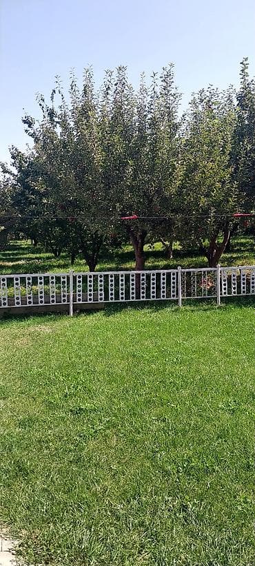 уголь каракече бешсары шабыркуль каражыра доставка бишкек купить: - Сорт: кочанный зелёный (плотные кочанчики, ровные грядки). - Выращен — 3