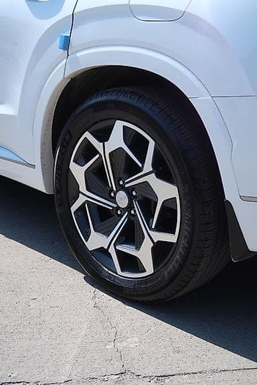 byd leopard 7: Hyundai Palisade: 2021 г., 2.2 л, Автомат, Дизель, Кроссовер — 10