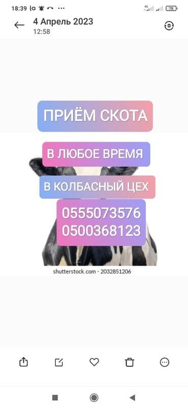 ферма: Сатып алам | Уйлар, букалар, Жылкылар, аттар | Күнү-түнү, Бардык шартта, Союлган