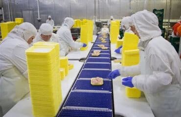 работа по сбору клубники: Требуется Упаковщик, Оплата: Дважды в месяц, Без опыта — 1