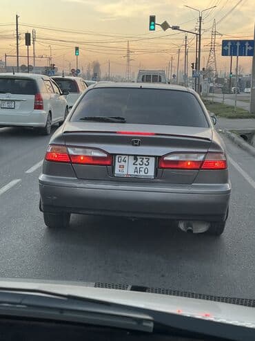 зимние шины размер 16: СПОЙЛЕР универсальный подсветка есть бегущий красный подходит для — 5