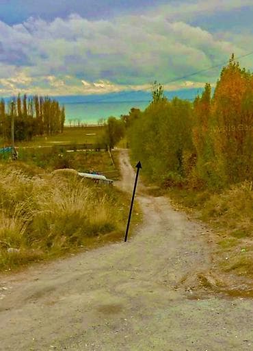 иссык кол: 6 соток, Для бизнеса, Договор дарения — 1