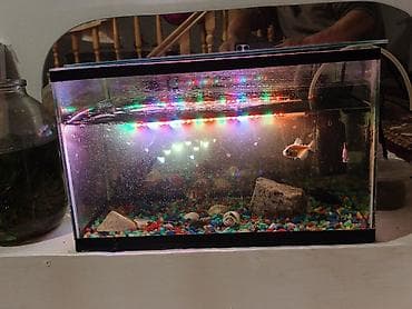 аквару: Аквариумный комплект для домашних рыб. +6 шт.с рыбкой - — 2