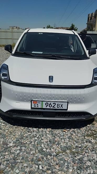 byd w6: BYD S6: 2024 г., Электромобиль — 8
