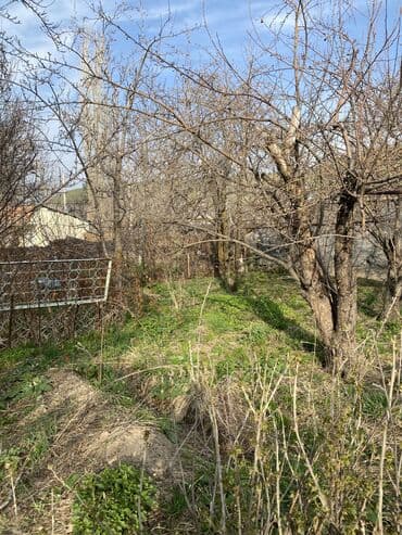 охрана токмок: Другие удобства для дома и сада, Самовывоз — 8