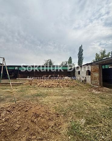 вишня токмок: 6 соток — 3