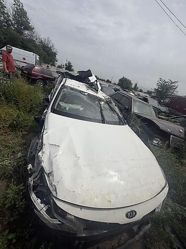 bye e5: Kia K5: 2019 г., 2 л, Автомат — 1