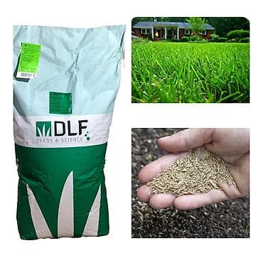 Семена газонной травы DLF (Seeds & Science) - Назначение at lalafo.kg Семена газонной травы DLF (Seeds & Science) - Назначение