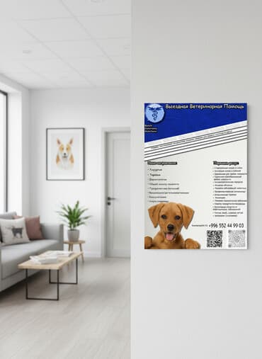 домик для животных: 🐾 ВЕТЕРИНАРНАЯ ПОМОЩЬ НА ДОМ 🐾 Профессиональный ветеринарный врач с — 1