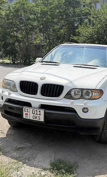bmw e6: BMW X5: 2004 г., 3 л, Автомат, Бензин, Кроссовер — 4