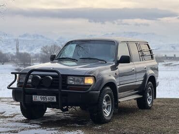 Toyota Land Cruiser: 1995 г., 4.2 л, Механика, Дизель, Внедорожник