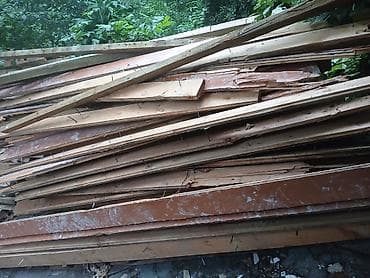 Оңдоп-түзөө жана курулуш: Ийне жалбырак — 1