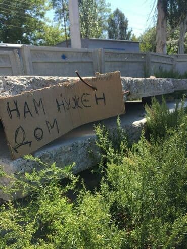 животные ош: Здравствуйте. Можете пожалуйста по просьбе. Иссык-Куль. Центр Отдыха — 3