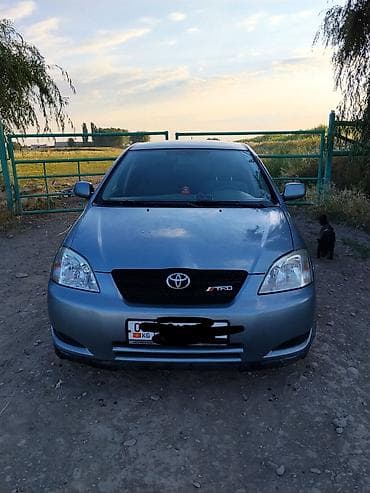 Toyota Corolla: 2003 г., Хэтчбэк