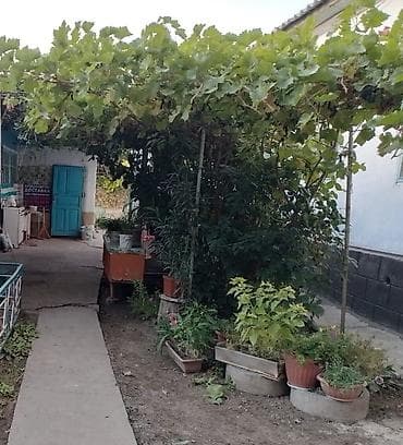 Срочно! Продаю жилых два дома на одной территории по цене