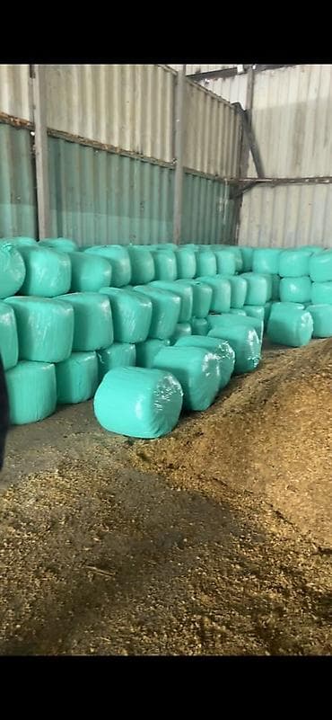 СИЛОС в брикетах по 8сом! ОПТОМ от 5ти тонн