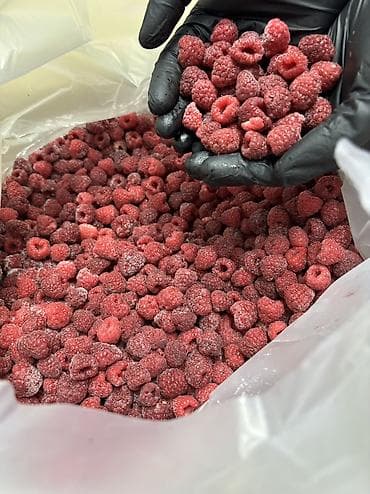 куплю ягоды: Замороженная малина, сорт «экстра» - Калиброванные целые ягоды — 2