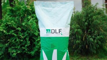 купить луковицы тюльпанов из голландии: Семена европейского газона DLF (Дания) по оптовым ценам! ✅В наличии — 1