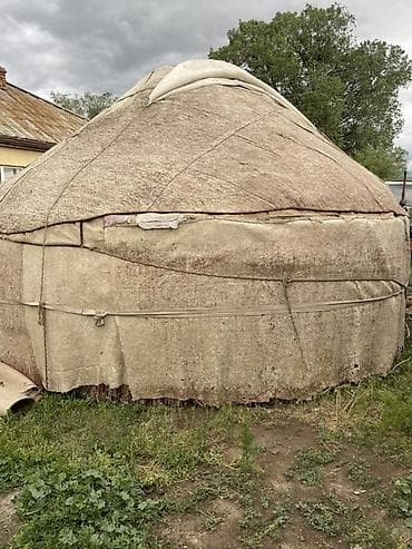 Спорт жана хобби: Боз үйлөр сатылат, Каркасы Жыгач, 75 баш, Диаметри: 5.5 метр — 4