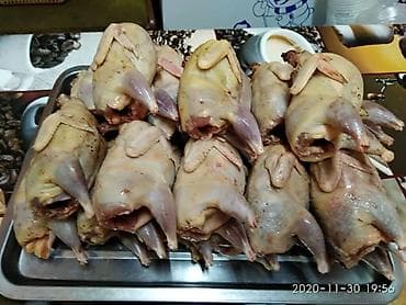 черный рис бишкек: Мясо перепёлки мы в центре города — 1