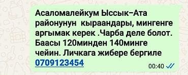 Животные: Продаю | Конь (самец) | Рабочий — 2