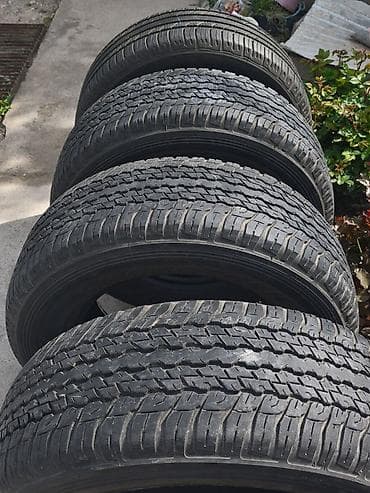 Шины 265 / 65 / R >34, Лето, Б/у, Комплект, Внедорожные (АТ/МТ), Германия, DUNLOP — 3