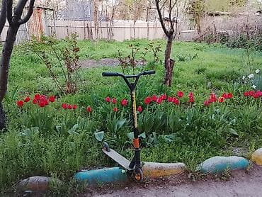 форма ваеный: Самокат, Трюковой, Б/у, Самовывоз — 1