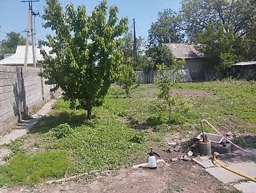 финский дом: 4 соток, Для сельского хозяйства, Красная книга — 5