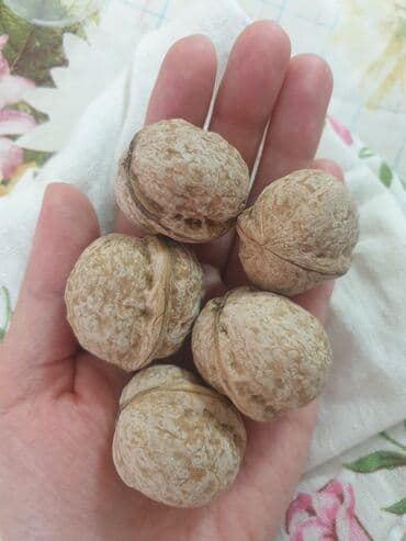 Грецкие орехи в скорлупе Адрес: село Кунтуу - Цельные, неочищенные