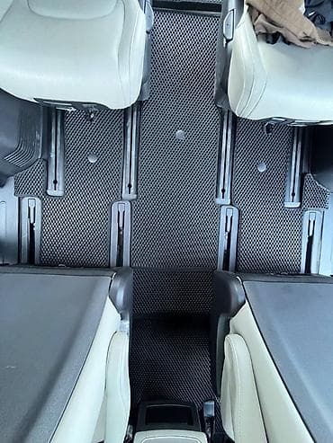 auris: Полики — 2