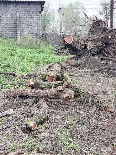 угольные котлы цена: Дрова — 5