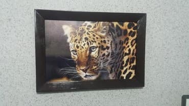 леопардовые вещи: Картина "Леопард". Печать на холсте. декор стены, комнаты. размеры — 4