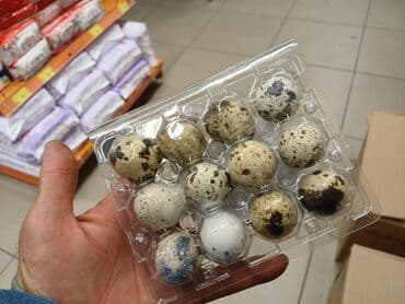 цена железа за 1 кг бишкек: Перепелиные яйца от домашнего хозяйства - Натуральные яйца от — 5