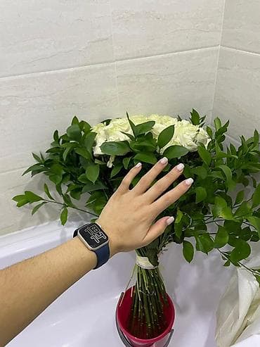 orient star: Apple Watch SE (2‑го поколения), 40 мм - Алюминиевый корпус светлого — 3