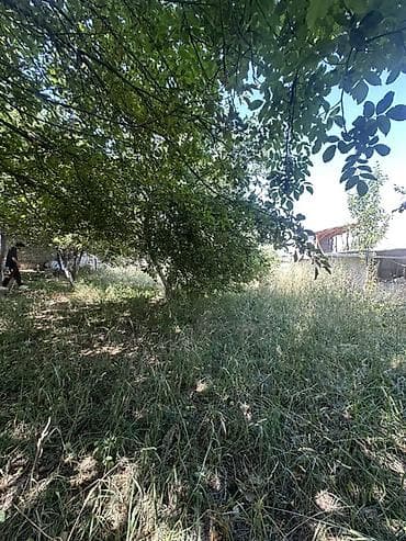 Продажа участков: 6 соток, Для строительства, Красная книга — 4