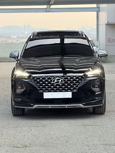 Hyundai Santa Fe: 2019 г., 2 л, Автомат, Бензин, Кроссовер