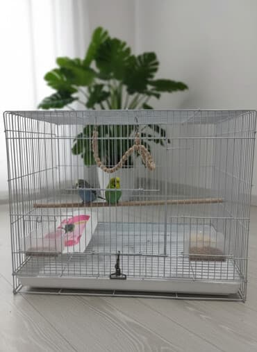 домик для: Большая клетка и попугай - Просторная прямоугольная конструкция из — 1