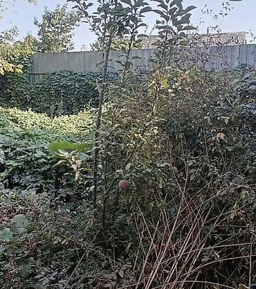 круглый: СРОЧНО продается дом 📍район Старого толчка Тоголок Молдо/ — 2