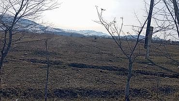 продажа крс: 150 соток, Для сельского хозяйства, Договор купли-продажи — 5