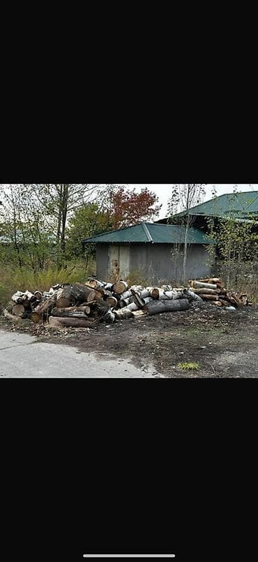 уголь в оше: Дрова — 1