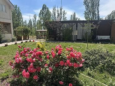deluxe: Коттедж, Dolinka Deluxe, Кара-Ой (Долинка), 19 мест — 1