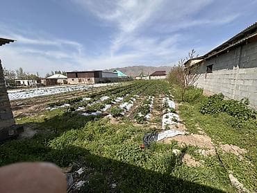 мини поля: 7 соток, Для строительства, Красная книга, Тех паспорт — 4